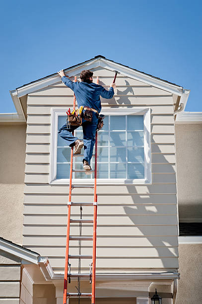 Best Hoarding Cleanup  in Lubeck, WV